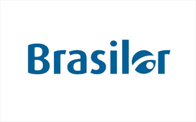 Brasilor